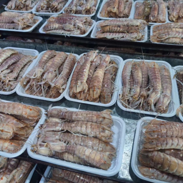熟冻皮皮虾、虾爬子、肉质饱满、口感上乘、适合餐饮行业。