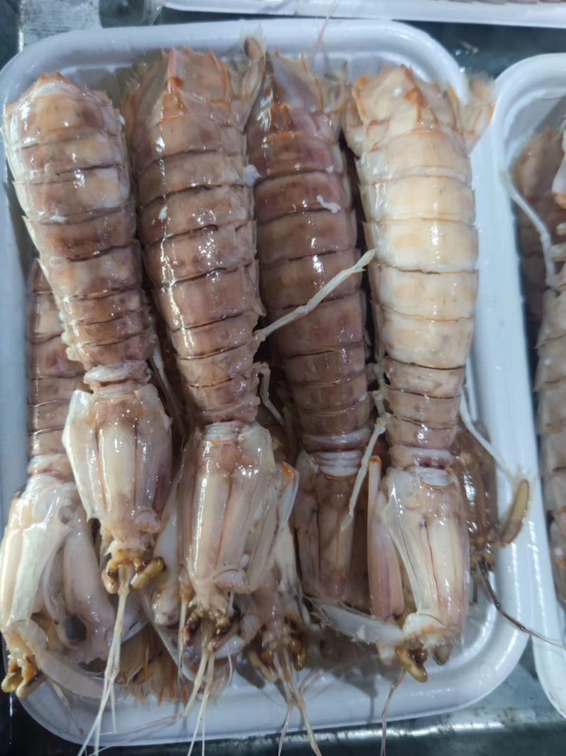 熟冻皮皮虾、虾爬子、肉质饱满、口感上乘、适合餐饮行业。