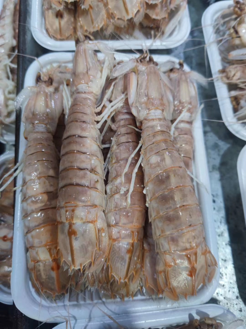 熟冻皮皮虾、虾爬子、肉质饱满、口感上乘、适合餐饮行业。