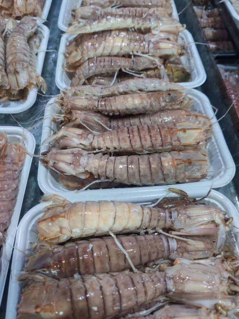 熟冻皮皮虾、虾爬子、肉质饱满、口感上乘、适合餐饮行业。