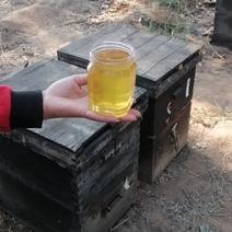 大山深处的荆条蜜，天然成熟蜂蜜，自产自销，高浓度蜂蜜