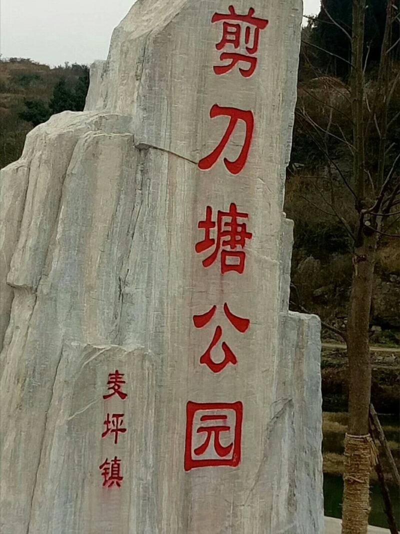 合作社自然山塘50亩，对外寻找有实力的企业，钓鱼协会合作