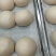 蔚县2021新碾高粱面粉农家自产自销有机肥种植优质白高粱