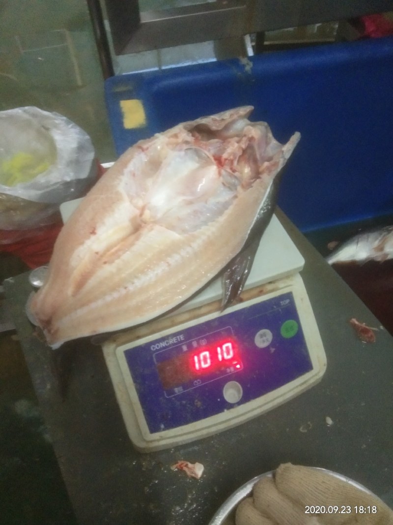工厂直销，湛江海航水产有限公司(百顺)可贴牌，可订做。