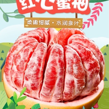新鲜水果红心柚子10斤整箱红心柚琯溪蜜柚当季红肉一件包邮