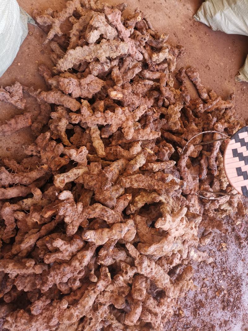 云南野生土茯苓规格3公两以上大士茯苓白肉，批发零售