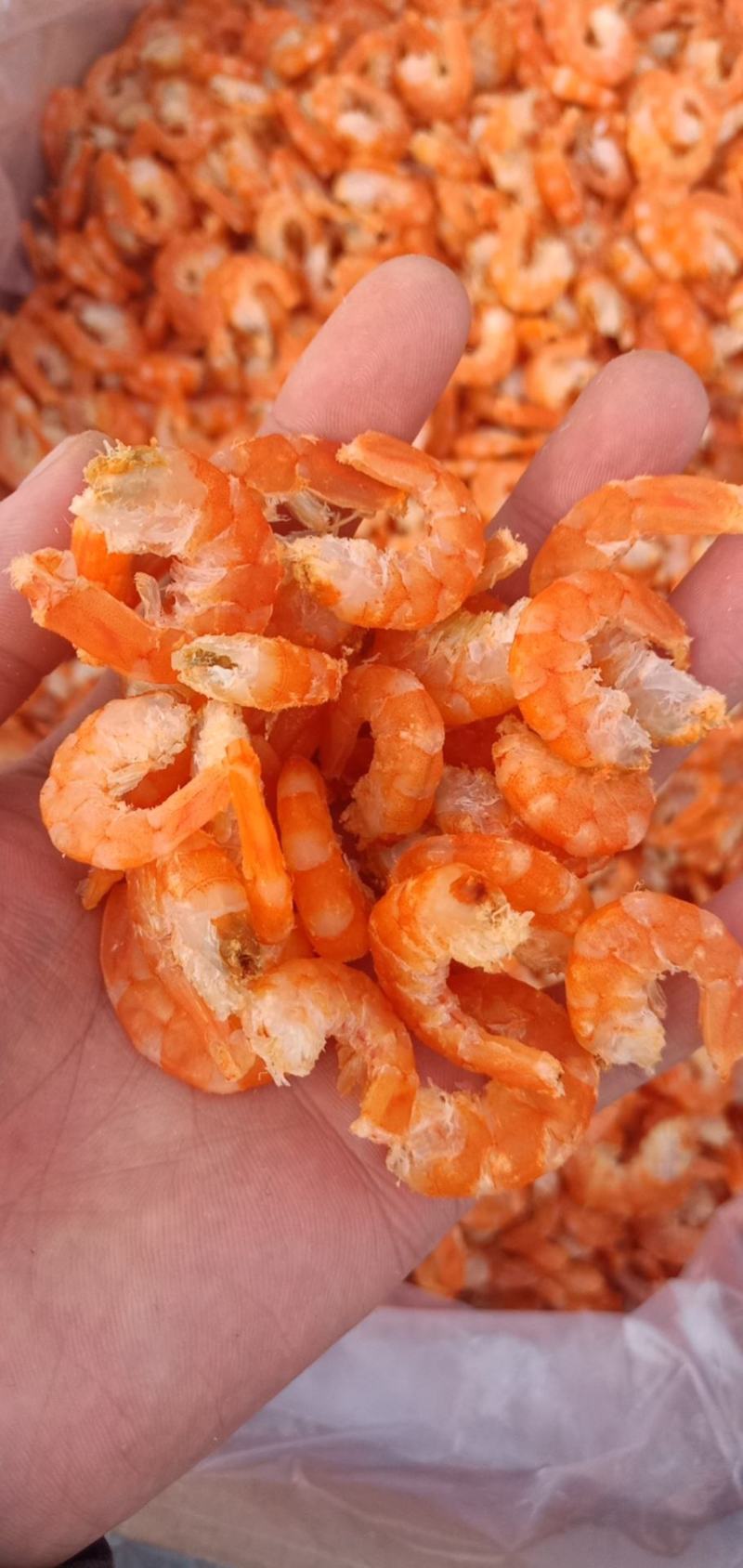 精品虾仁海米对虾仁对虾米金钩米石岛米淡干不咸产地直销渤海