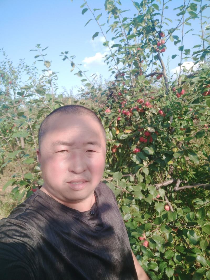 出售原产地优等海棠果！！！精挑细选！！！