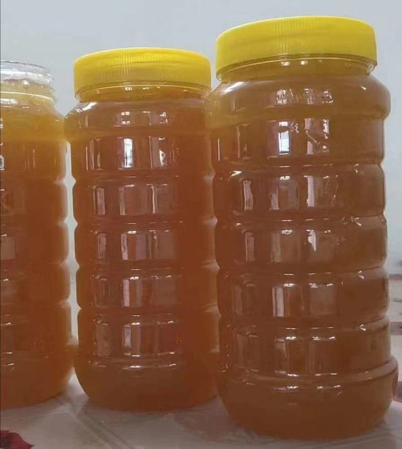 【蜂蜜】枣花蜂蜜土蜂蜂蜜自产自销小量供应可视频看货