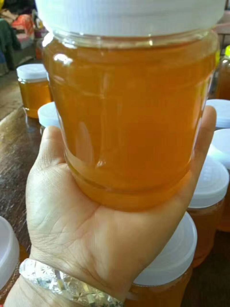 【蜂蜜】枣花蜂蜜土蜂蜂蜜自产自销小量供应可视频看货