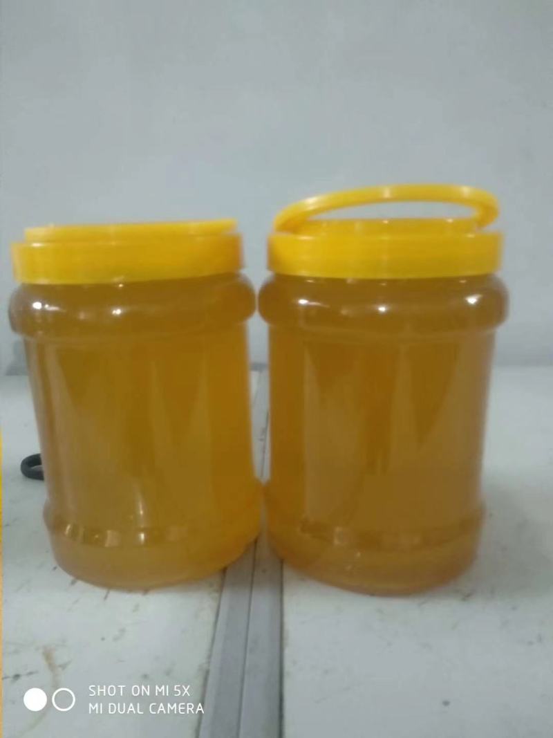 【蜂蜜】枣花蜂蜜土蜂蜂蜜自产自销小量供应可视频看货