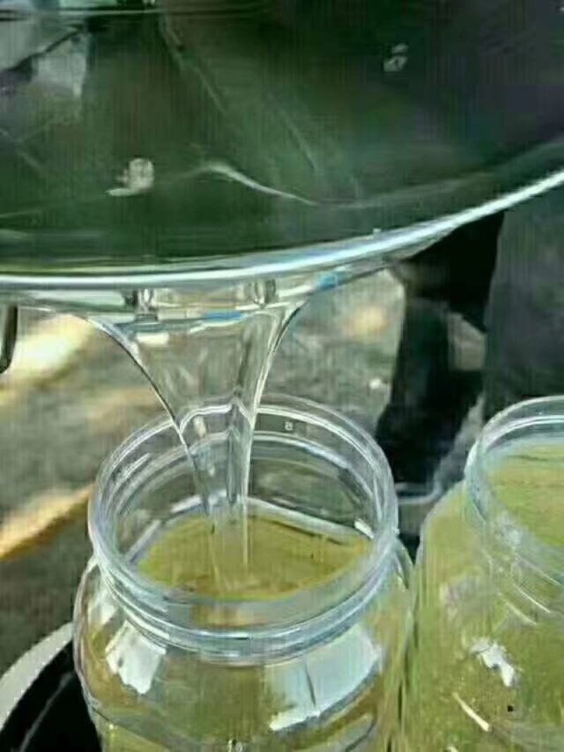 【蜂蜜】枣花蜂蜜土蜂蜂蜜自产自销小量供应可视频看货