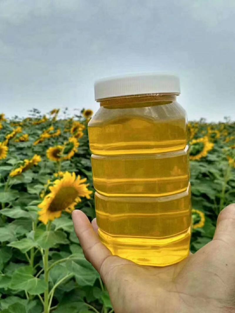 【蜂蜜】枣花蜂蜜土蜂蜂蜜自产自销小量供应可视频看货