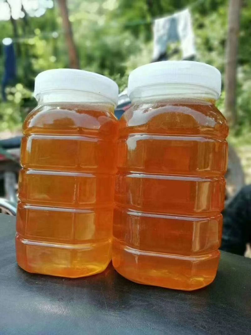 【蜂蜜】枣花蜂蜜土蜂蜂蜜自产自销小量供应可视频看货