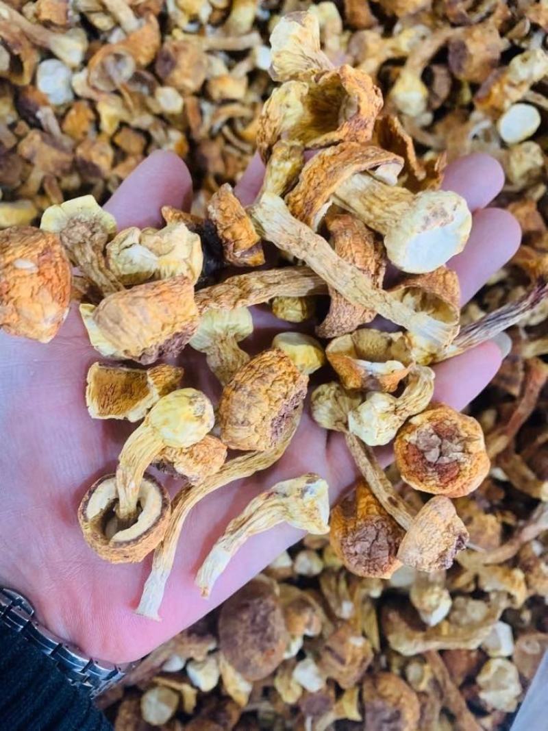 特级松茸干姬松茸野生松茸干礼盒木盒送礼自用营养健康好食材