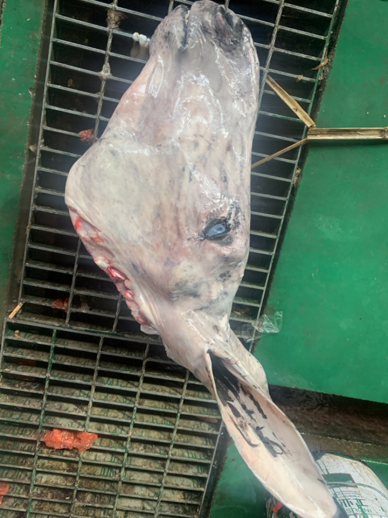 【新鲜驴头】带皮驴头不带皮驴头熟驴头驴肉