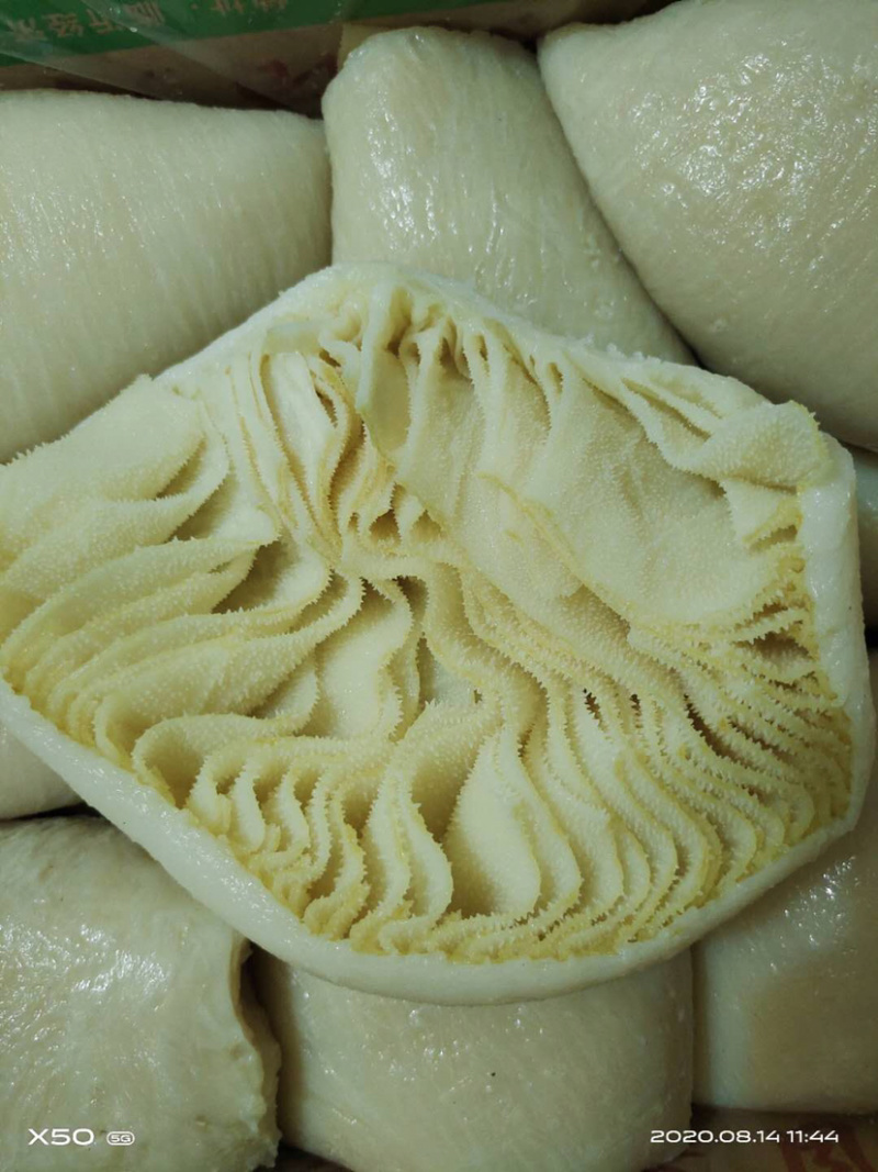 【牛商推荐】半成品牛百叶品质保障厂家直营质量好价格优