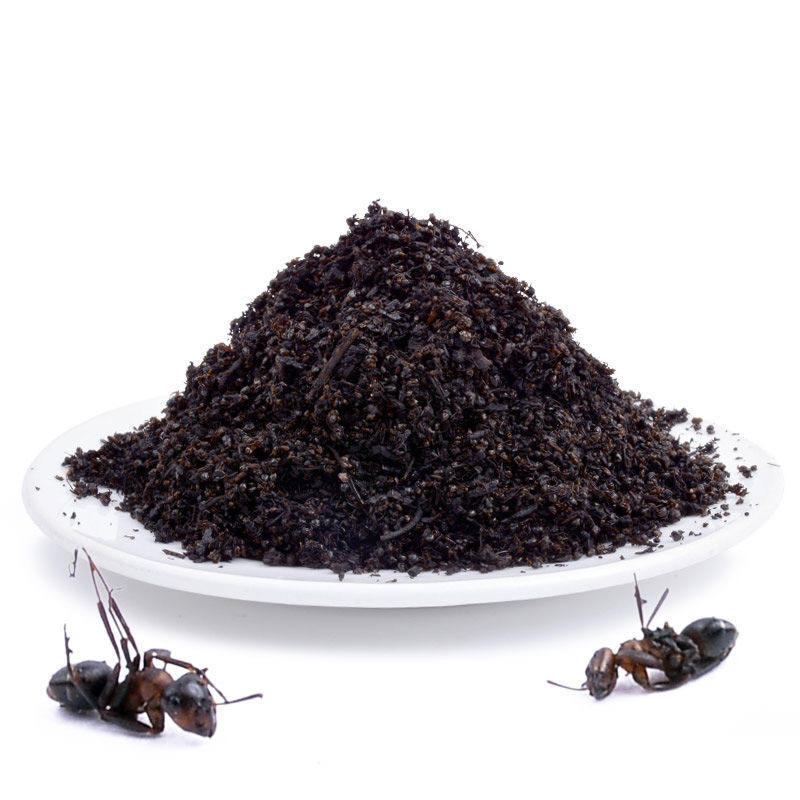 黑蚂蚁产地直销正品黑蚂蚁长白山中药材