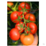红果番茄种子罗德石头番茄种籽硬果耐热耐雨水不裂果