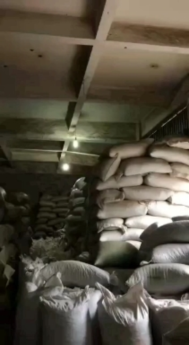 红刀豆货好量大货好质量优不满意保退换
