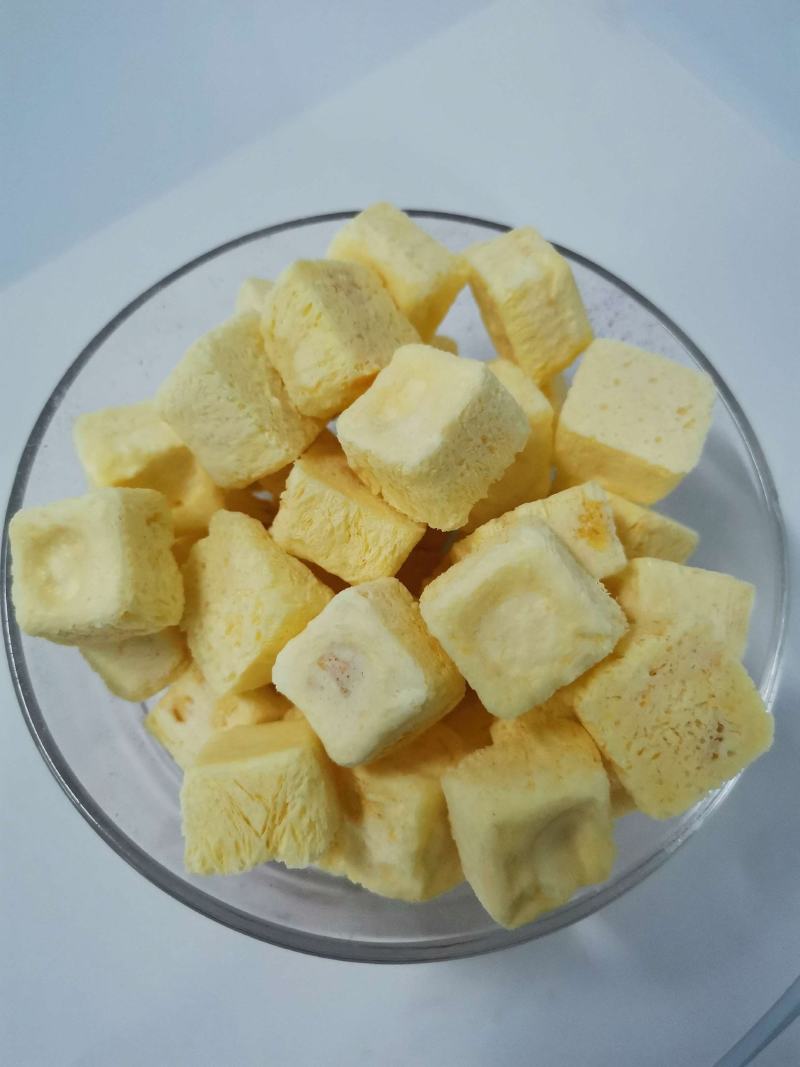 冻干酸奶块瑞方FD果粒酸奶块厂家