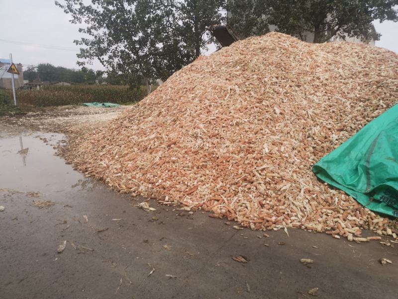 有大量玉米芯，对外出售，质量好，需要的朋友和我联系