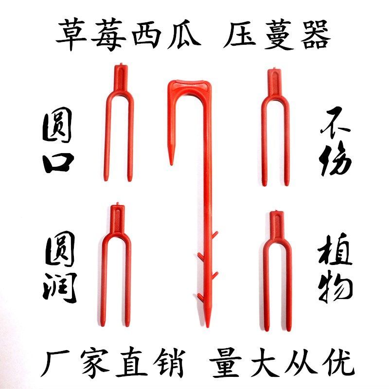 草莓叉子草莓育苗压蔓器压苗叉藤蔓植物固定器压蔓生根西瓜叉