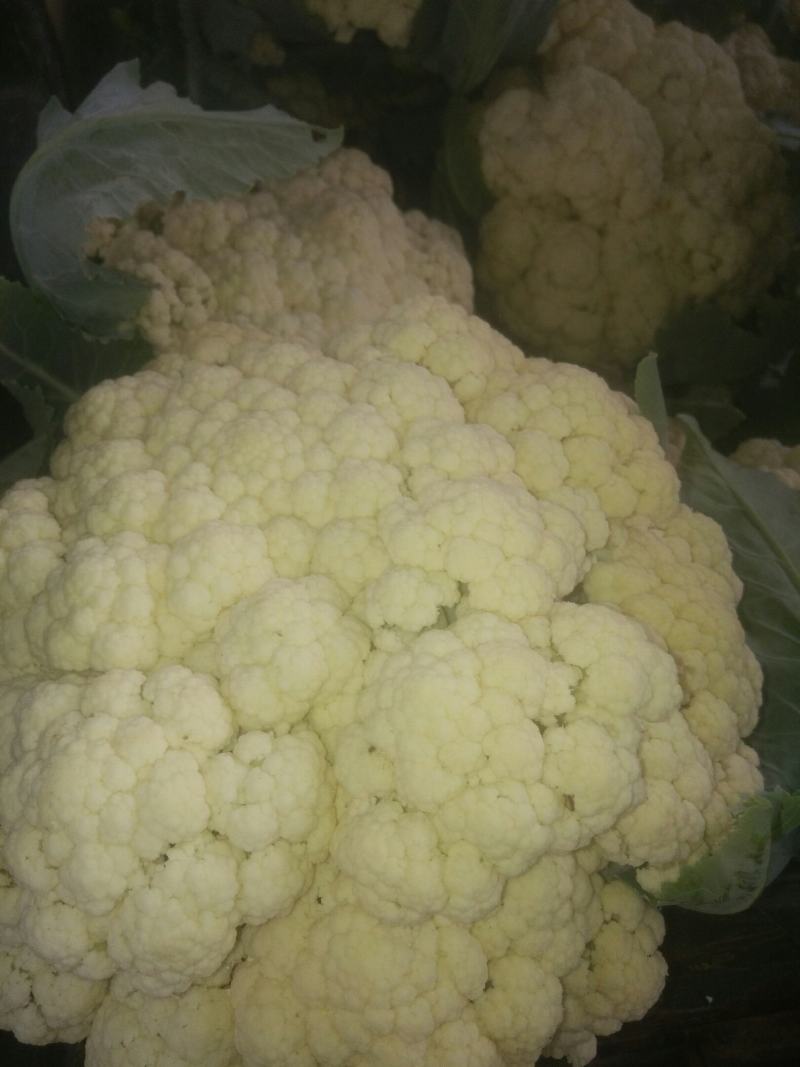 有机松花菜，大量上市中。
