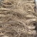 人参长白山正品鲜参带土鲜参现挖现卖园参新鲜泡酒煲汤保鲜