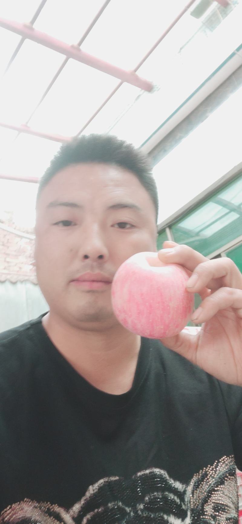 陕西大荔膜袋红富士大量上市欢迎各大团队前来产地采购！
