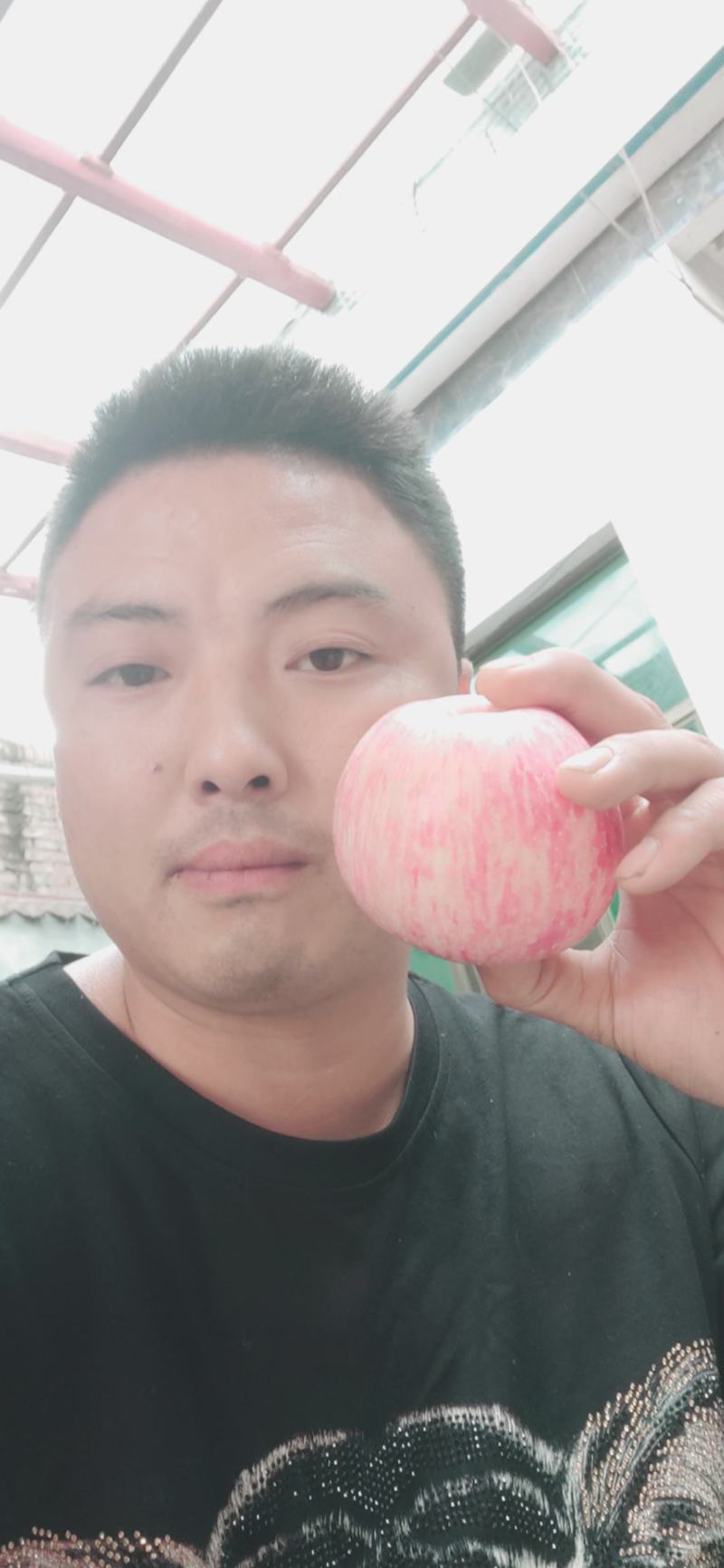 苹果陕西大荔纸加膜红富士苹果大量出库中优质货源