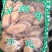 猕猴桃根无硫纯根老根量大从优各种冷背中药材