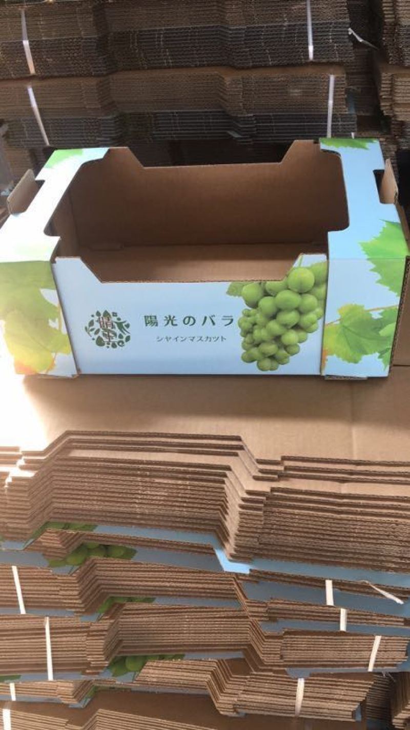 阳光玫瑰葡萄包装袋晴王包装袋透明防雾包装袋镭射标扎丝包装箱