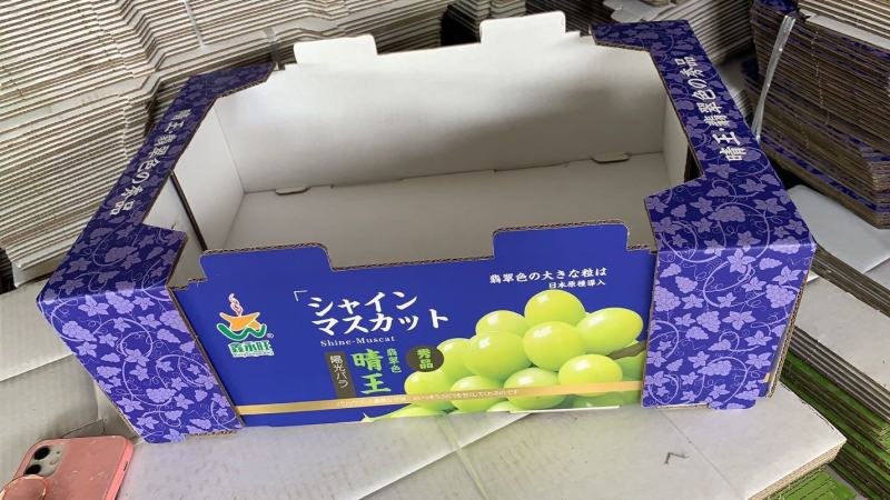 阳光玫瑰葡萄包装袋晴王包装袋透明防雾包装袋镭射标扎丝包装箱