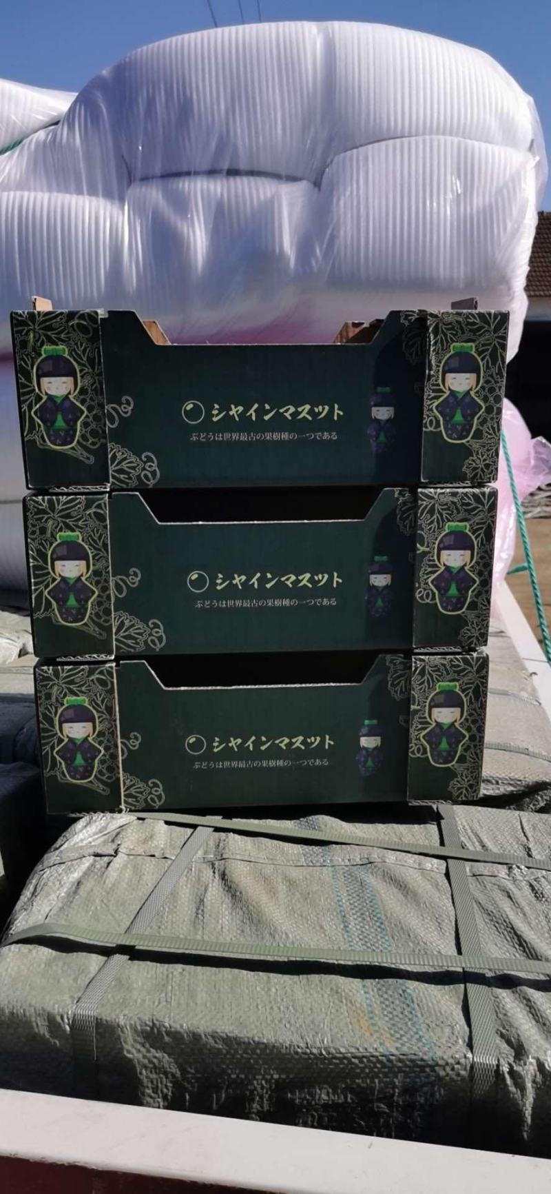 阳光玫瑰葡萄包装袋晴王包装袋透明防雾包装袋镭射标扎丝包装箱