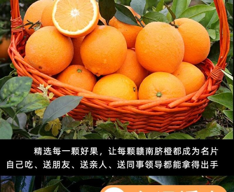 正宗江西赣南脐橙皮薄肉赣南产地直供新鲜现摘大量批发整车发