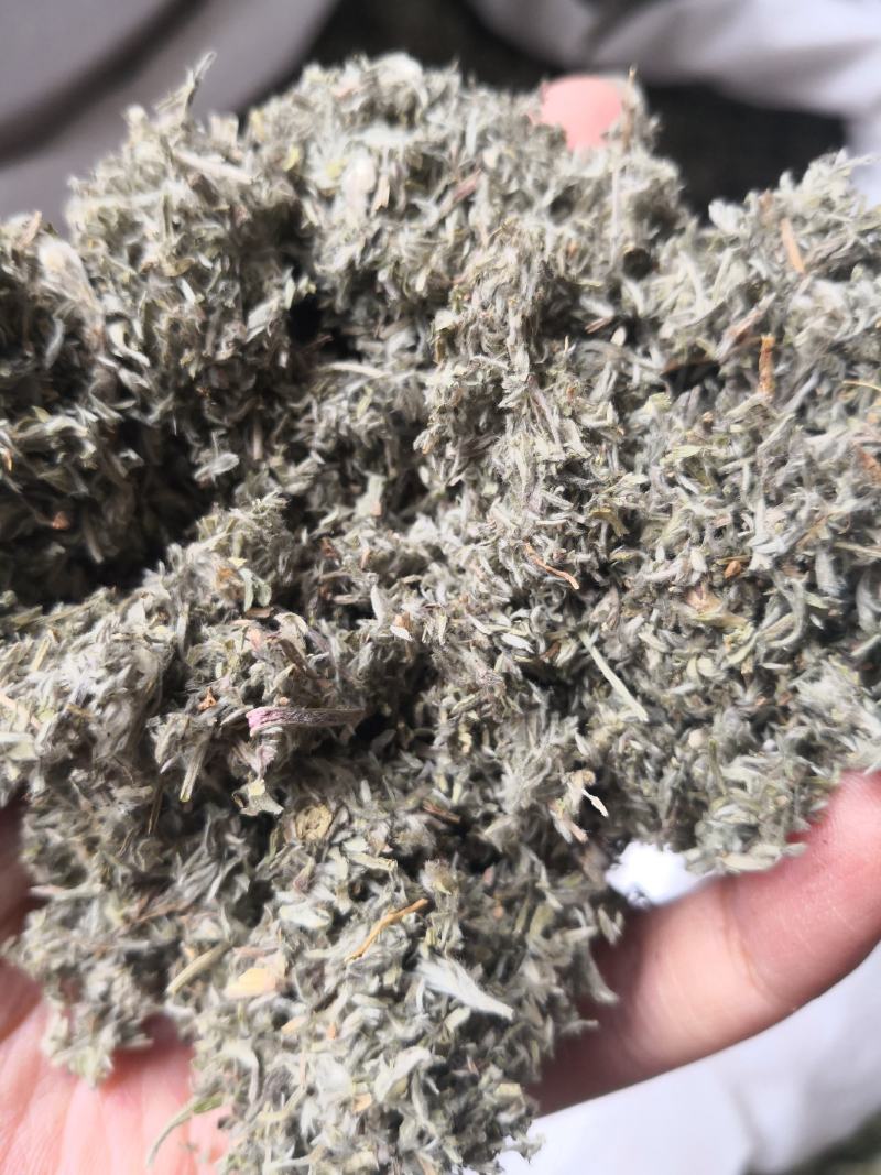 茵陈山西干货人工种植运费另算量大从优