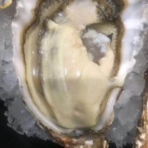 自有养殖加工厂乳山二倍体生蚝原产地直发