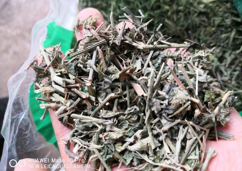 九子连还草量大从优2斤起批经营各种中药材