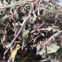 中药材蒲公英地上部分干货散装量大从优