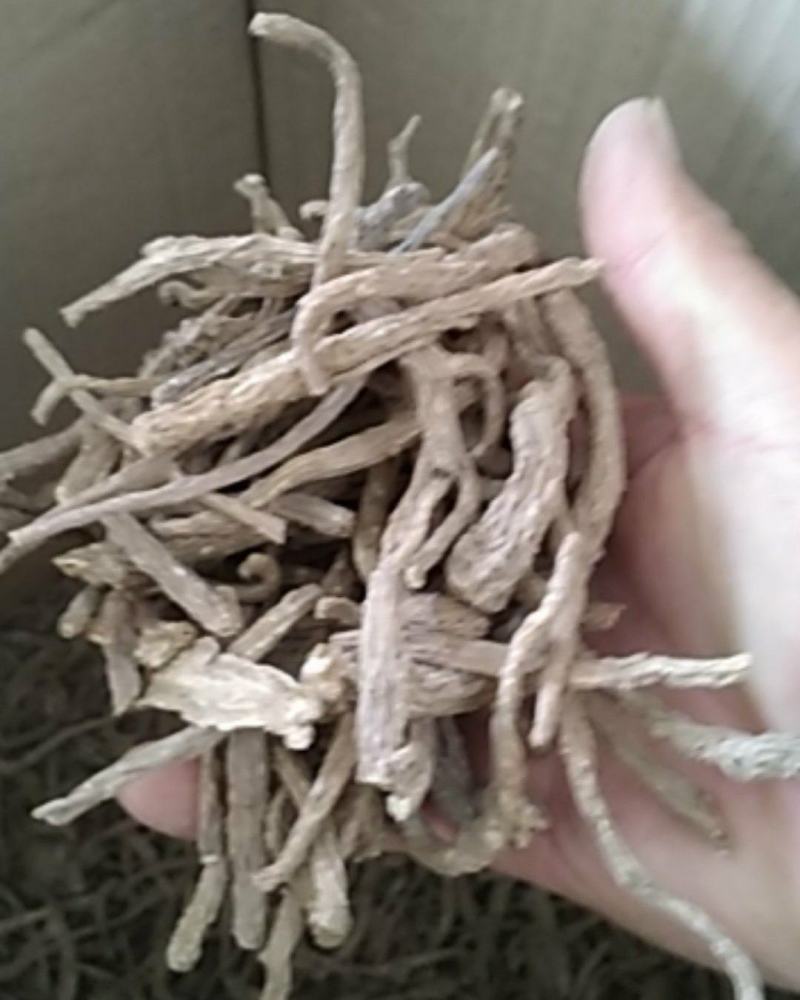 当归尾当归沫当归产品种类齐全品质保证货源充足