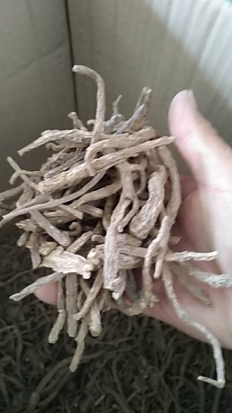 当归尾当归沫当归产品种类齐全品质保证货源充足