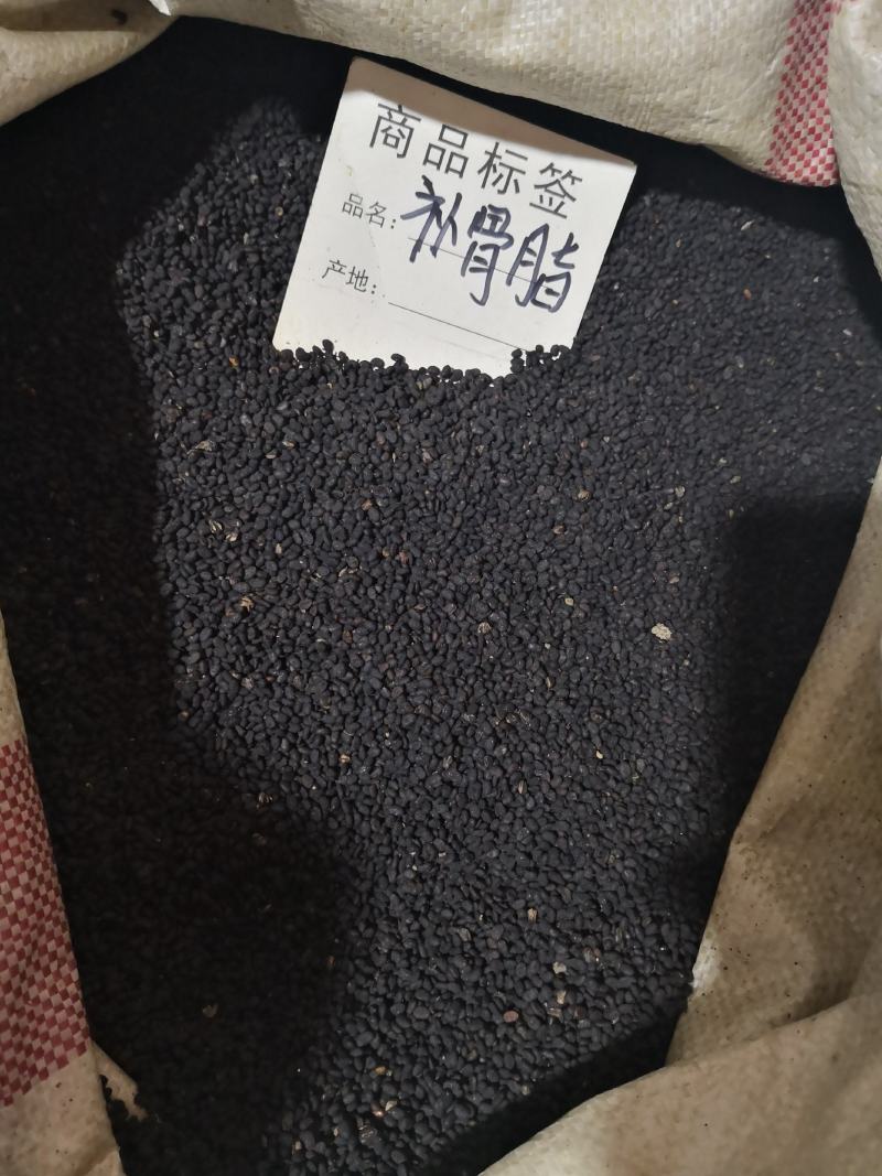 补骨脂云南干货各种规格量大从优常年经营各种中药