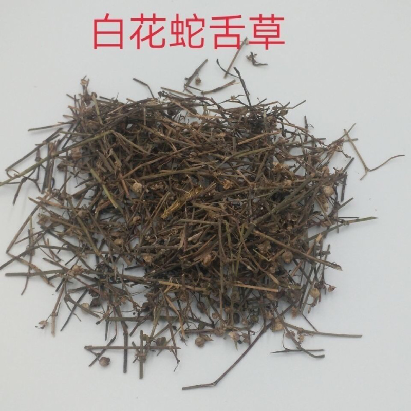 白花蛇舌草一手货源产地直销