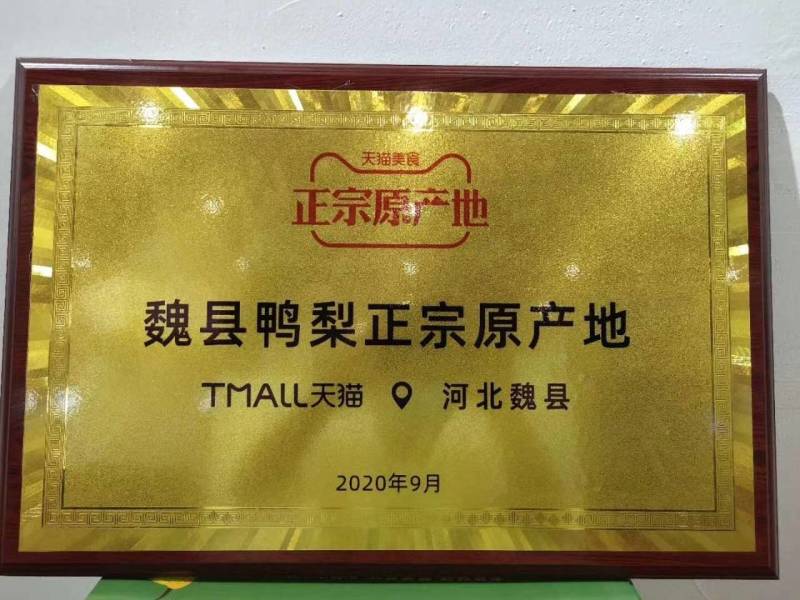 魏县鸭梨，冷库膜袋青鸭梨大量供应，毛重33斤黑框装带网套