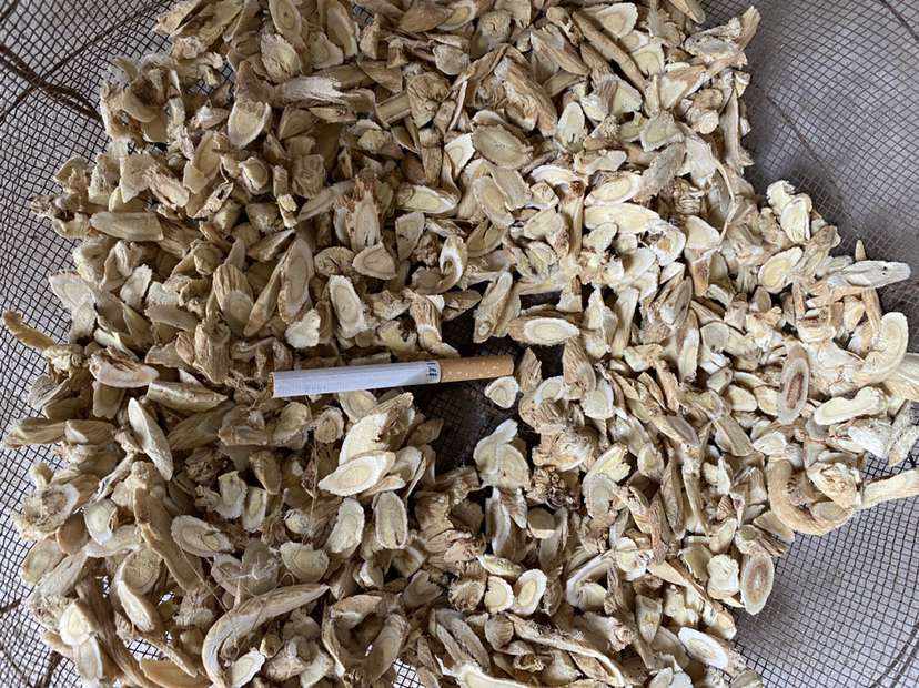 黄芩药材展示图