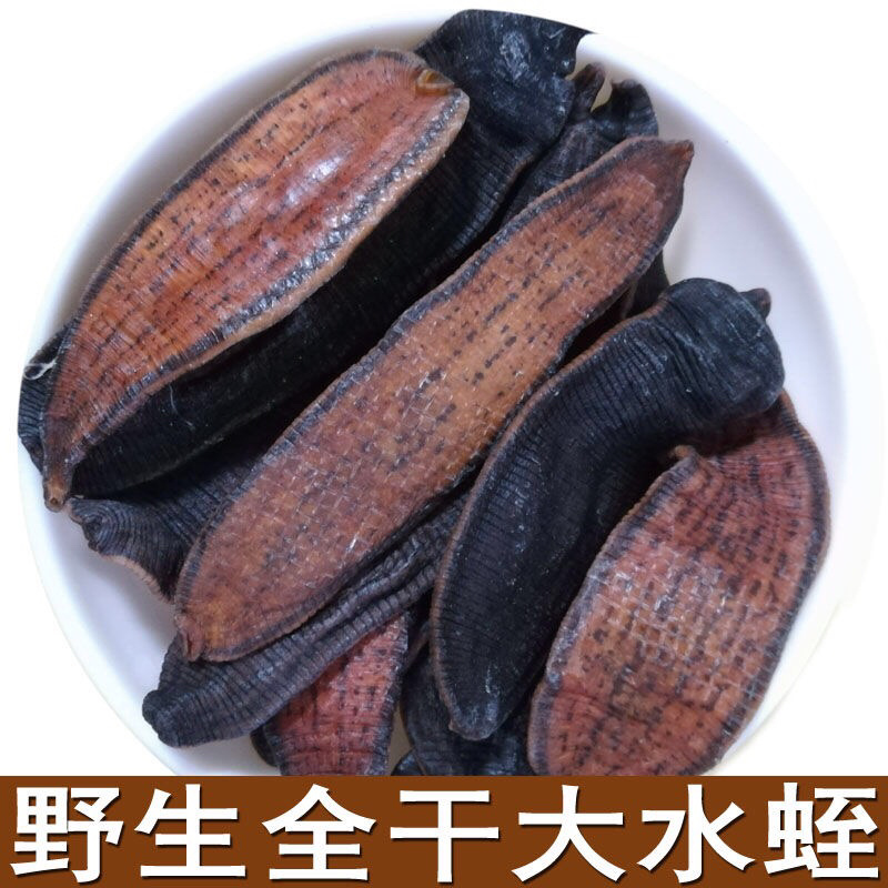 水蛭全干货包你满意物美价廉