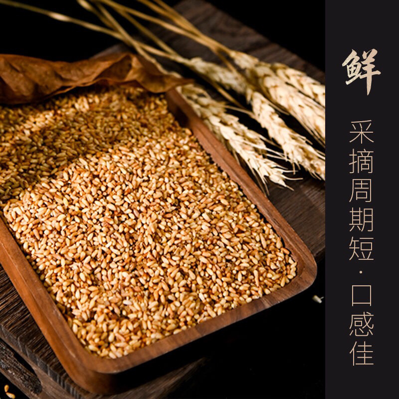 柏子仁保质保量物美价廉欢迎购买