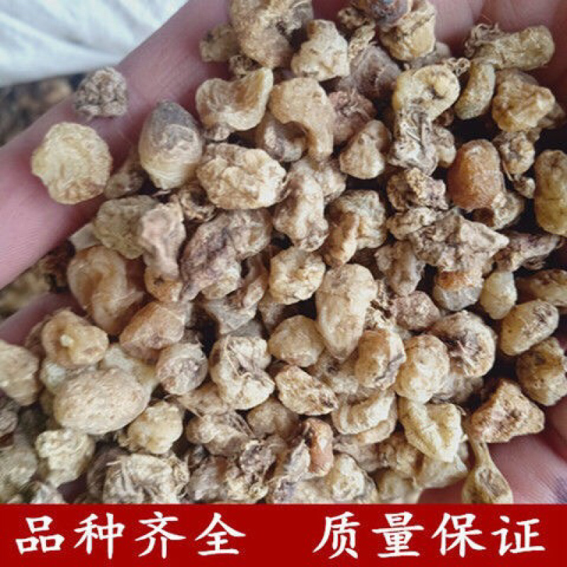 山慈菇一手货源产地直销