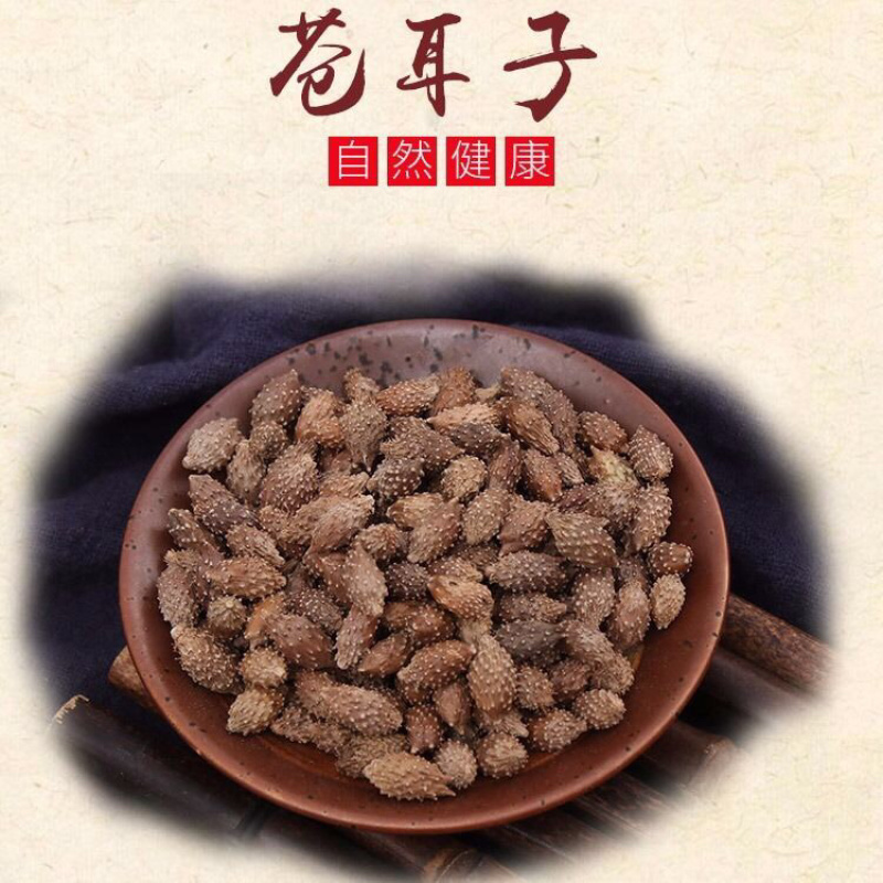 苍耳子一手货源产地直销